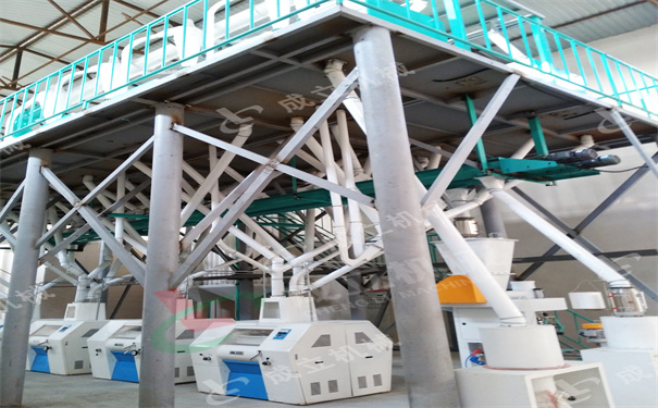 烏茲別克斯坦60噸小麥面粉機